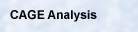 CAGE Analysis